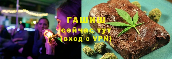 индика Мегион